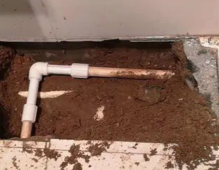 夏邑测漏水哪家好