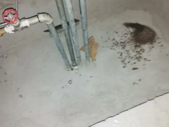 夏邑卫生间测漏水价格明细