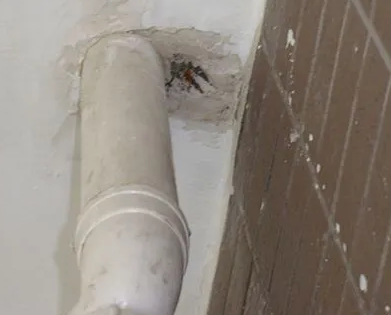 夏邑漏水检测哪家好